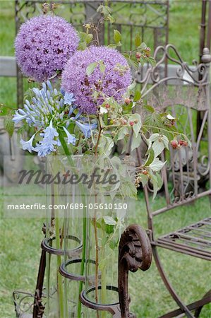 Flowers and raspberries in garden