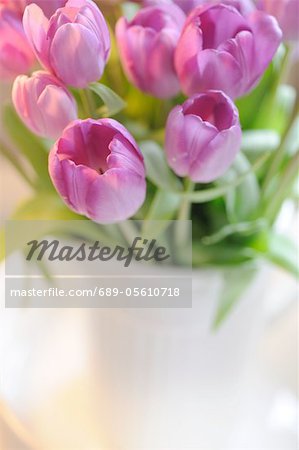 Pink bunch of tulips