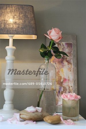 Rose and table lamp on dresser