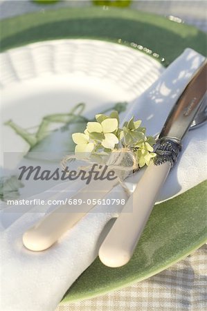 Cutlery and napkin on table