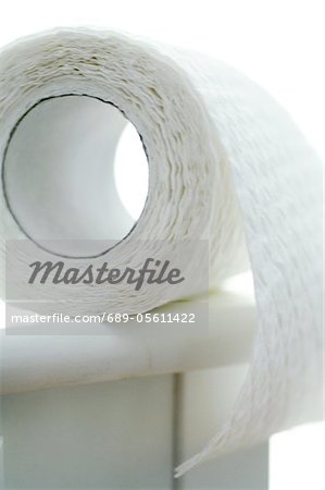 Roll of toilet paper