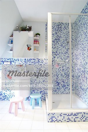 Bathroom with shower and mosaic tiles