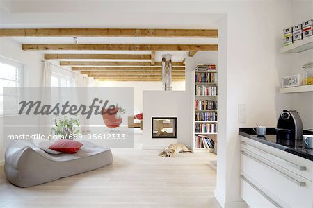 Dog lying by the fireplace in modern bright house