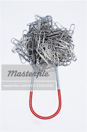Clump of paperclips attached to horseshoe magnet