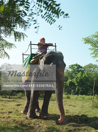 Young woman riding elephant, leaning, looking at view