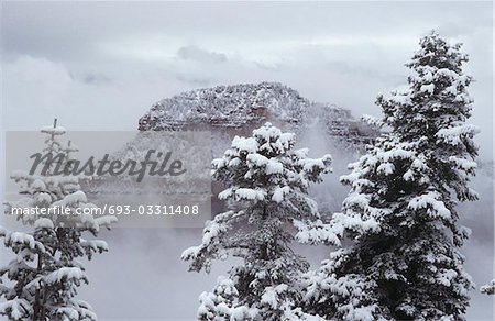 USA, Arizona, Grand Canyon, North Rim in snow