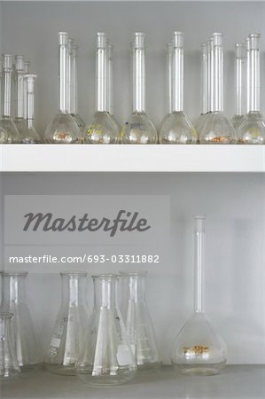 Laboratory flasks on shelves