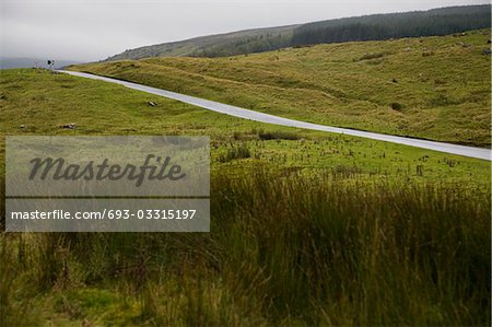 Rural road in Yorkshire Dales, Yorkshire, England