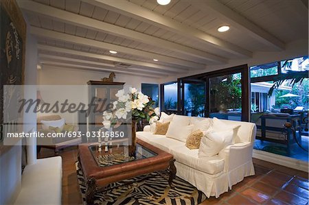 Luxury interior design, living room