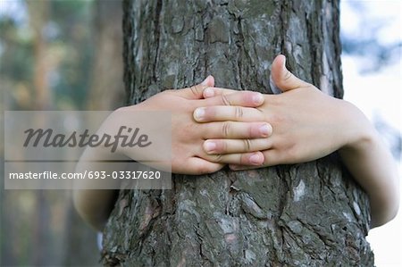 Child with arms around tree trunk