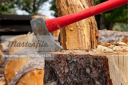 Axe wedged into tree stump