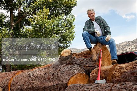 Low angle view of man sitting on a huge tree trunk