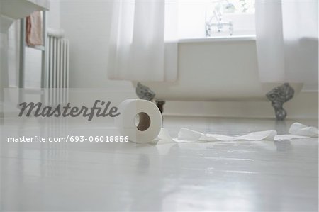 Toilet paper roll on bathroom floor