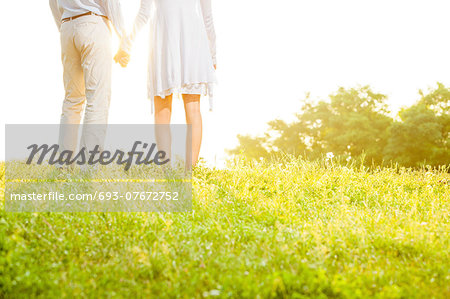 Midsection rear view of couple holding hands while standing on grass against sky