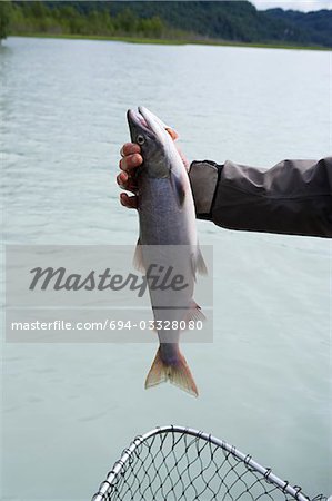 Person holding fish over net by river