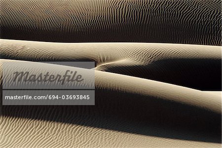 Windswept sand dunes