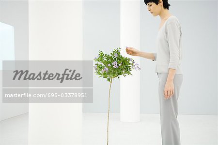 Woman standing indoors, picking flower from small tree, side view