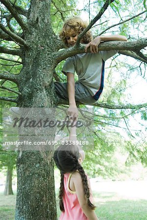 Boy sitting in tree, reaching down to hold girl's hand