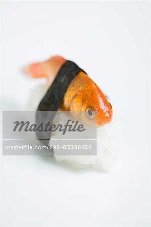 Goldfish prepared as nigiri sushi, close-up
