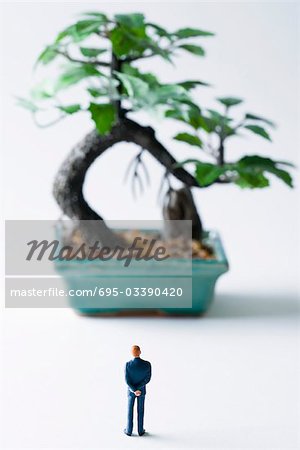 Miniature man looking at potted bonsai tree, rear view