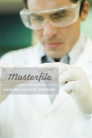 Researcher wearing protective goggles picking up Petri dish