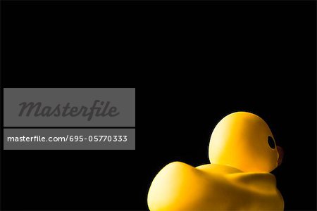 Rubber duck, on black background, rear view