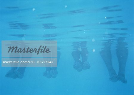 Four pairs feet and calves, underwater view