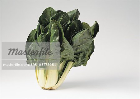 Chard