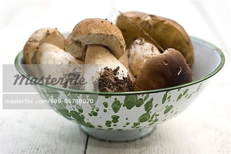 Porcini mushrooms in bowl