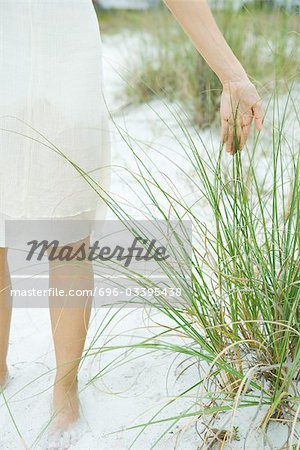 Female standing at the beach touching dune grass, cropped view