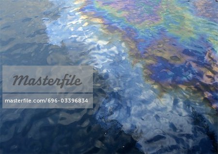 Oil on surface of water