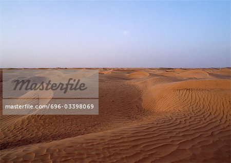 Tunisia, Sahara Desert, rippled sand dunes
