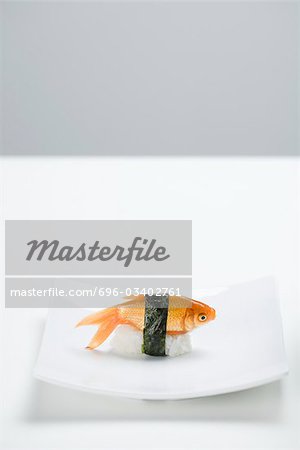 Goldfish prepared as nigiri sushi placed on small sushi plate