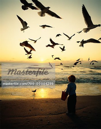 ●₪ مــــــزاجك "بصـــــورة" ₪● - صفحة 85 700-00004299em-child-on-beach-with-birds-at-sunset-florida-usa-stock-photo