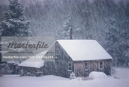 Snow Covered Cabin And Falling Snow Shampers Bluff New Brunswick