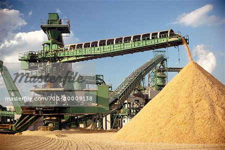 Pulpmill Wood Chips