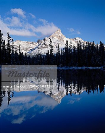 Cathedral Mountain Yoho National Park British Columbia, Canada