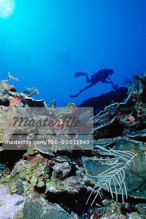 Underwater View of Scuba Diver Grand Cayman Island British West Indies