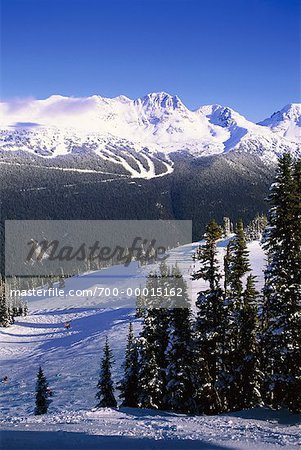 Whistler Mountain Whistler, British Columbia Canada