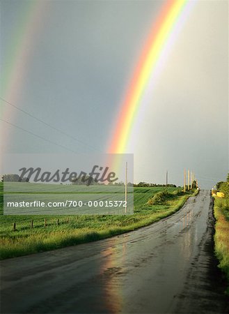 700+] Rainbow Pictures