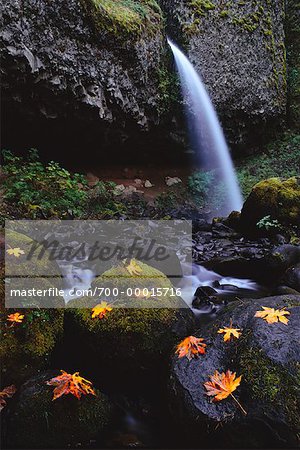 Upper Horsetail Falls in Autumn Columbia River Gorge Oregon, USA