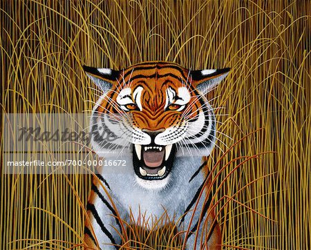 Illustration of Tiger in Tall Grass