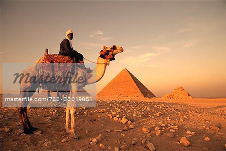 Man Riding Camel by Pyramids Giza, Egypt