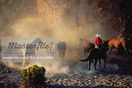 Cowboy with Horses