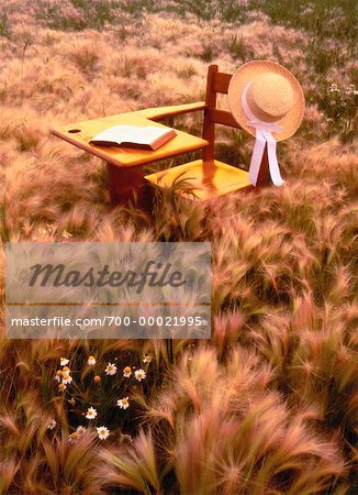 Field of Foxtails and School Desk Alberta, Canada