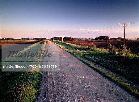 Gravel Road at Sunset Near Summerfallow Fields Near Russell, Manitoba, Canada