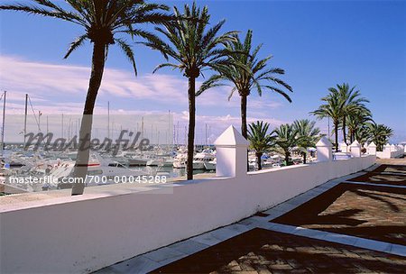 Boats in Harbour Puerta Banus, Costa Del Sol Spain