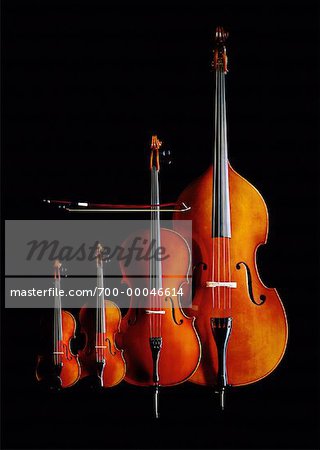 Viola, Violin, Cello and Bass - Photo - Masterfile - Rights-Managed, Artist: Philip Code: 700-00046614