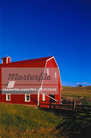 Red Barn Priddis, Alberta, Canada