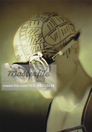 Mannequin Head with Phrenology Diagram and Optical Test Goggles